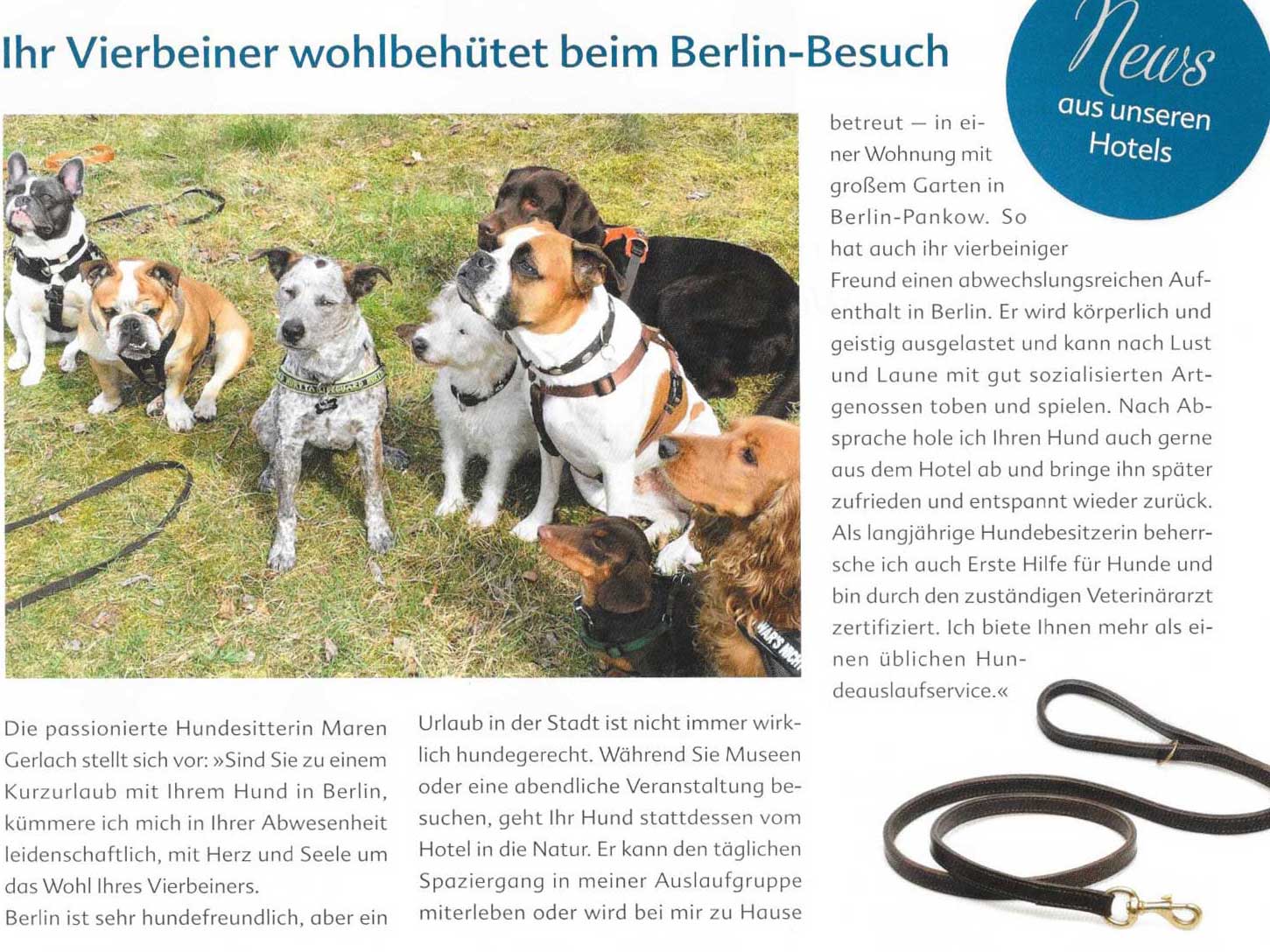 News aus dem Hotel Relaxa