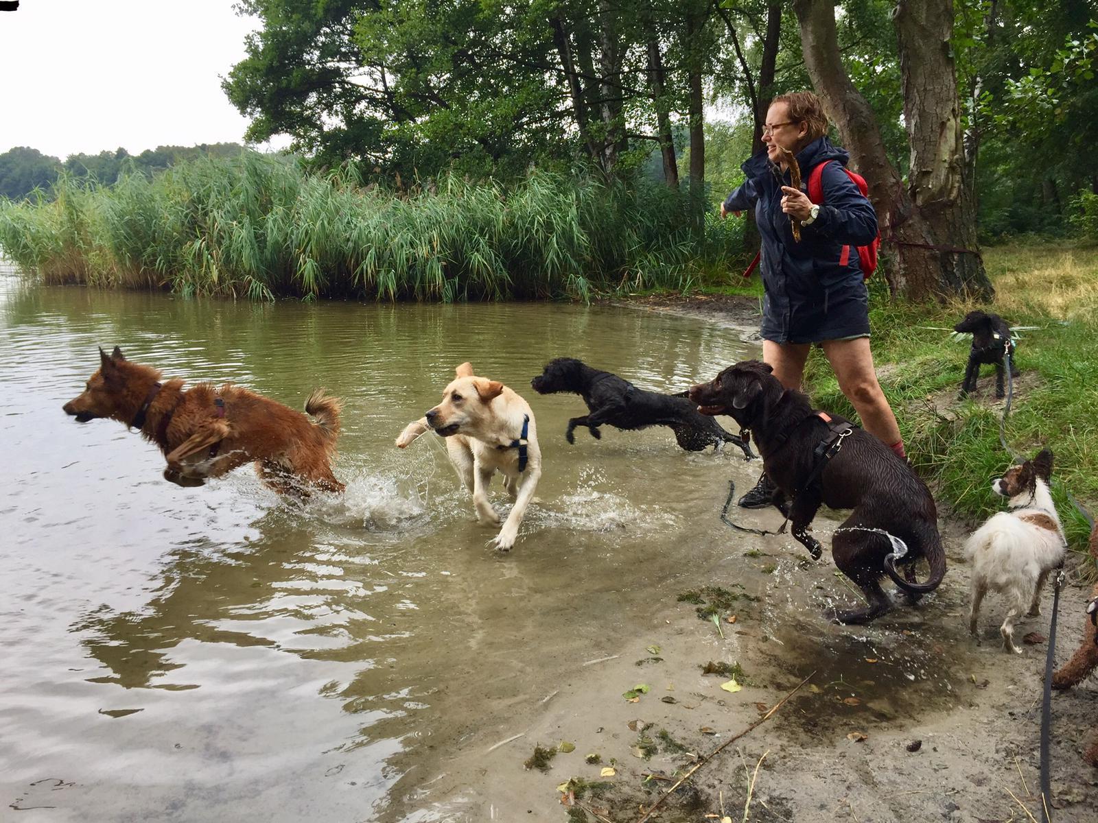 Hundeauslaufservice in Berlin Mitte, Pankow, Prenzlauer Berg, Niederschönhausen und Friedrichshain